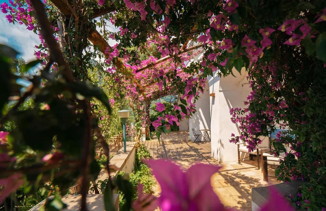 Casa Flora-1